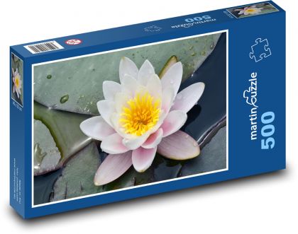 Biała lilia wodna - kwiat, oczko wodne - Puzzle 500 elementów, rozmiar 46x30 cm