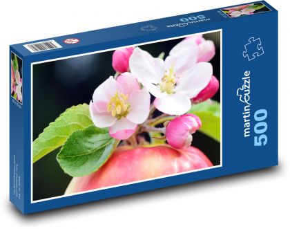 Apfelblüten - Apfel, Frühling - Puzzle - 500 Teile