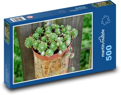 Kaktus - květináč, dekorace - puzzle 500 dílků