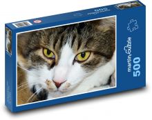 Kočka domácí - mazlíček, kocour Puzzle 500 dílků - 46 x 30 cm