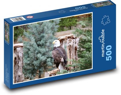 Ptak - Orzeł - Puzzle 500 elementów, rozmiar 46x30 cm