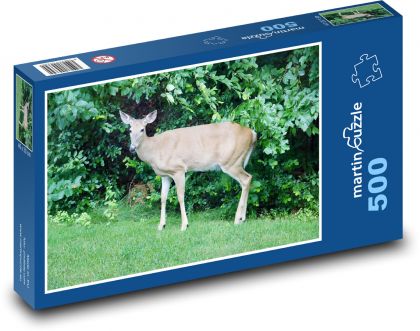 Zvíře - srna - puzzle 500 dílků