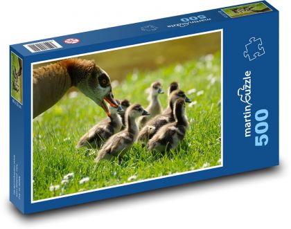 Geese - chicks - Puzzle of 500 pieces, size 46x30 cm 