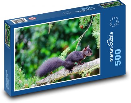 Tier - schwarzes Eichhörnchen - Puzzle - 500 Teile