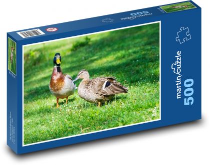 Kaczka i kaczątko - Puzzle 500 elementów, rozmiar 46x30 cm