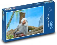 Pavián - šedá opice Puzzle 500 dílků - 46 x 30 cm