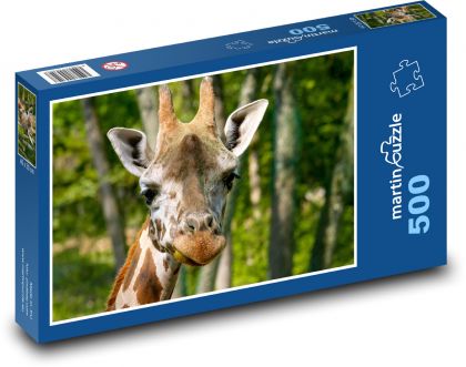 Žirafa - žirafia hlava - Puzzle 500 dielikov, rozmer 46x30 cm 