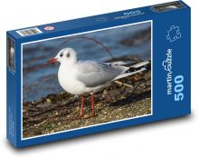 Mewa - ptak, morze Puzzle 500 elementów - 46x30 cm