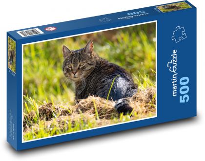 Katze - Wiese, Haustier - Puzzle - 500 Teile