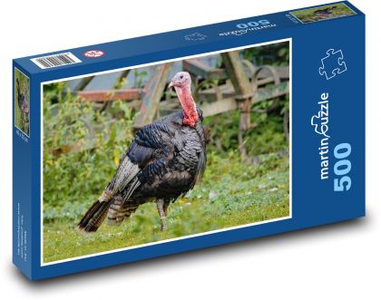 Turkey - bird, domestic poultry - Puzzle of 500 pieces, size 46x30 cm 