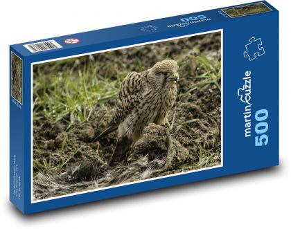 Sokół - ptak drapieżny, natura - Puzzle 500 elementów, rozmiar 46x30 cm