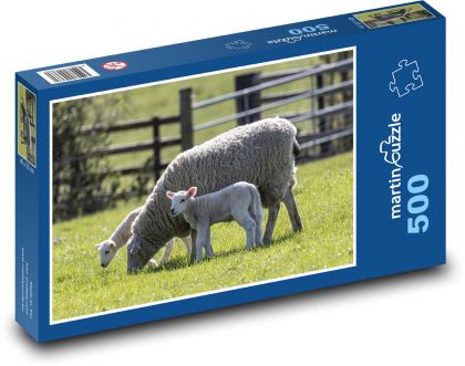 Ovce - jahňa, zvieratá - Puzzle 500 dielikov, rozmer 46x30 cm 