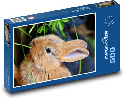 Králíček - roztomilé mládě, zvíře - puzzle 500 dílků