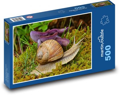 Snail - sponge, snail - Puzzle of 500 pieces, size 46x30 cm 