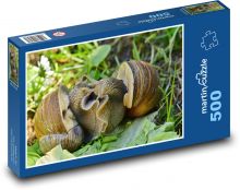 Schnecke - Schnecke, Tier Puzzle 500 Teile - 46 x 30 cm