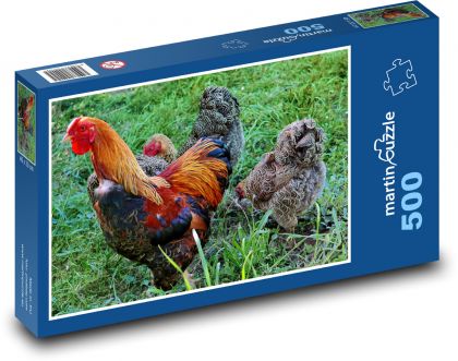 Kohout - slepice, pták - Puzzle 500 dílků, rozměr 46x30 cm