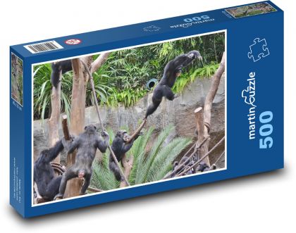 Opice - zoo, mládě - Puzzle 500 dílků, rozměr 46x30 cm