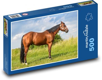 Kůň - zvíře, louka - puzzle 500 dílků