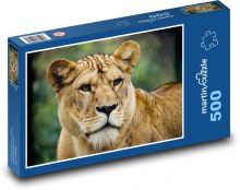 Lwica - duży kot, drapieżnik Puzzle 500 elementów - 46x30 cm
