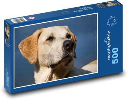 Pes - hlava, labrador - Puzzle 500 dílků, rozměr 46x30 cm