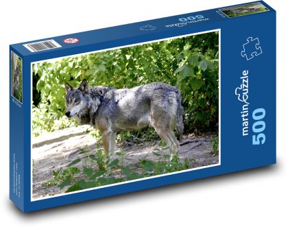 Vlk - lovec, dravec - Puzzle 500 dílků, rozměr 46x30 cm