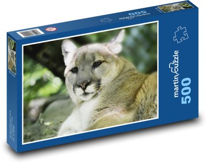 Puma - velká kočka, dravec - puzzle 500 dílků
