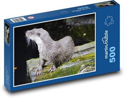 Vydra - vodní zvíře, voda  - puzzle 500 dílků