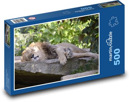 Lion - big cat, predator - Puzzle of 500 pieces, size 46x30 cm 