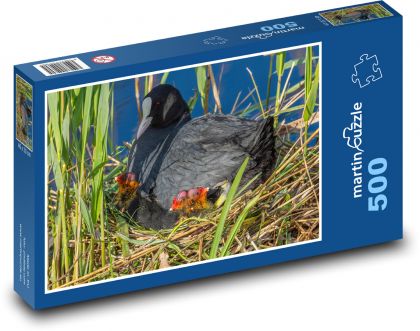 Lyska - pták, hnízdo - Puzzle 500 dílků, rozměr 46x30 cm