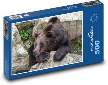 Bear - animal, zoo - Puzzle of 500 pieces, size 46x30 cm 
