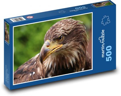 Eagle - bird of prey - Puzzle of 500 pieces, size 46x30 cm 