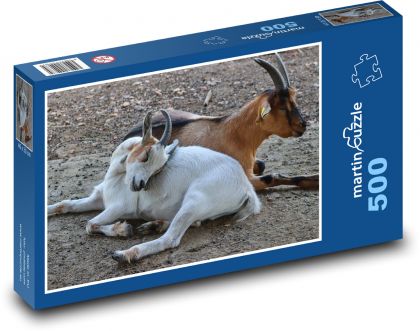 Domáce kozy - dobytok, rohy - Puzzle 500 dielikov, rozmer 46x30 cm 