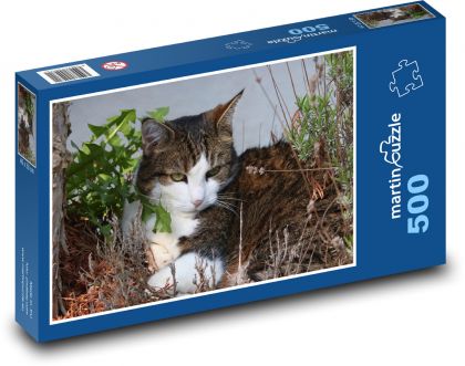 Kočka - domácí zvíře, mazlíček - Puzzle 500 dílků, rozměr 46x30 cm