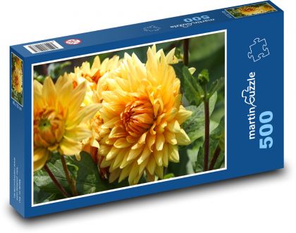 Gelbe Dahlien - Blumen, Garten - Puzzle - 500 Teile