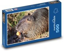 Nutria - hlodavec, zviera Puzzle 500 dielikov - 46 x 30 cm
