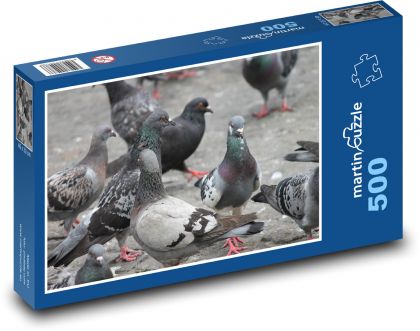 Pigeon in the city - doves, birds - Puzzle of 500 pieces, size 46x30 cm 
