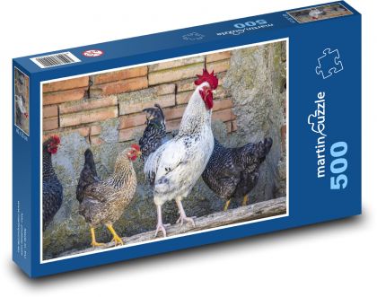 Kogut - kury, ptaki - Puzzle 500 elementów, rozmiar 46x30 cm