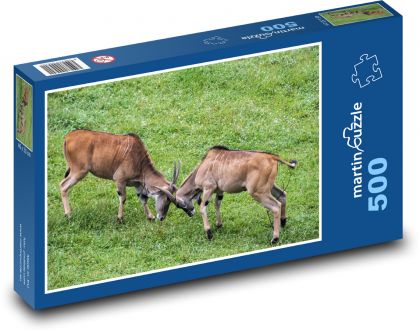 Kampf gegen Ziegen - Haustiere, Bauernhof - Puzzle - 500 Teile