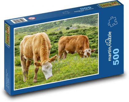 Hnědé krávy - hospodářská zvířata, pastvina - Puzzle 500 dílků, rozměr 46x30 cm