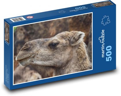 Hlava velblouda - zvíře, savec - puzzle 500 dílků
