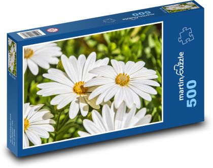 Blütenblätter - Gänseblümchen, Blume - Puzzle - 500 Teile