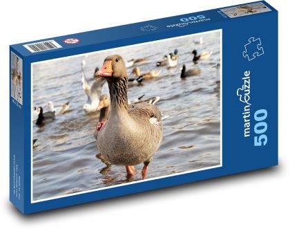 Gans - Wasservogel - Puzzle - 500 Teile