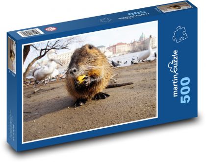 Hlodavec - zvíře, nutrie - Puzzle 500 dílků, rozměr 46x30 cm