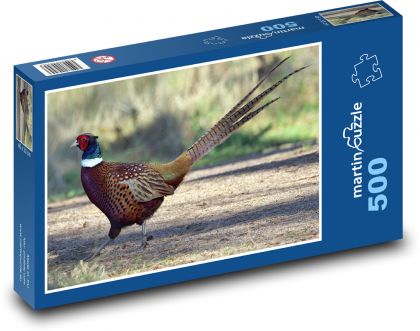 Wild game - pheasant - Puzzle of 500 pieces, size 46x30 cm 
