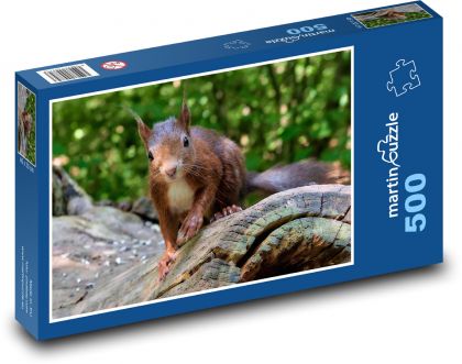 Nagetier - braunes Eichhörnchen - Puzzle - 500 Teile