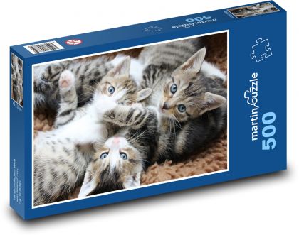 Cat , kittens, kittens - Puzzle of 500 pieces, size 46x30 cm 