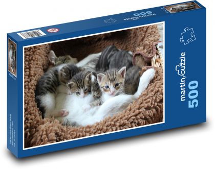 Kätzchen - Kätzchen in einem Bett - Puzzle - 500 Teile