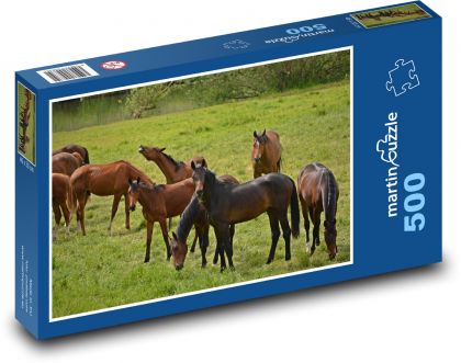 Zvieratá - stádo koní - Puzzle 500 dielikov, rozmer 46x30 cm 