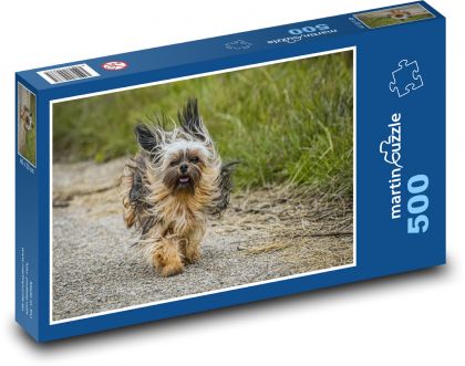 Animal - dog - Chihuahua - Puzzle of 500 pieces, size 46x30 cm 