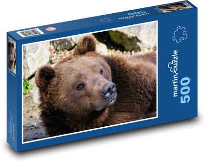 Zvíře - Medvěd Hnědý - Puzzle 500 dílků, rozměr 46x30 cm